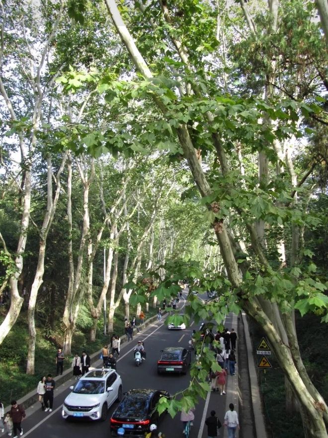 1200万像素+1寸屏幕能录27K新葡京娱乐135元的“眼镜相机”(图2)