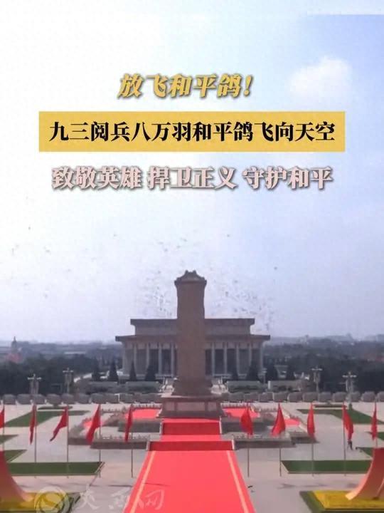 借来”的关在特殊笼子放飞有的已经到家了新葡京娱乐场app8万羽和平鸽都是“(图5) 借来”的关在特殊笼子放飞有的已经到家了新葡京娱乐场app8万羽和平鸽都是“(图5)