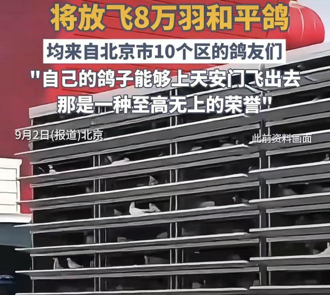 借来”的关在特殊笼子放飞有的已经到家了新葡京娱乐场app8万