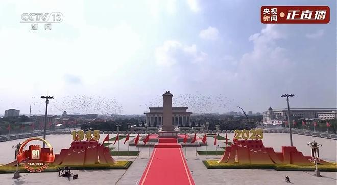 借来”的关在特殊笼子放飞有的已经到家了新葡京娱乐场app8万羽和平鸽都是“(图6) 借来”的关在特殊笼子放飞有的已经到家了新葡京娱乐场app8万羽和平鸽都是“(图6)